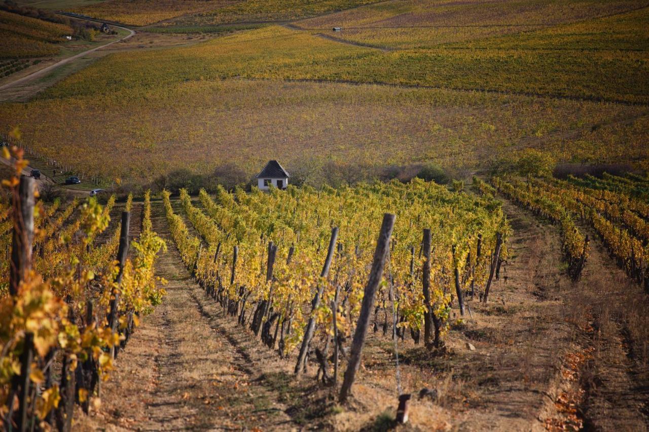 Antalóczy Vendégház Tokaj Exterior foto