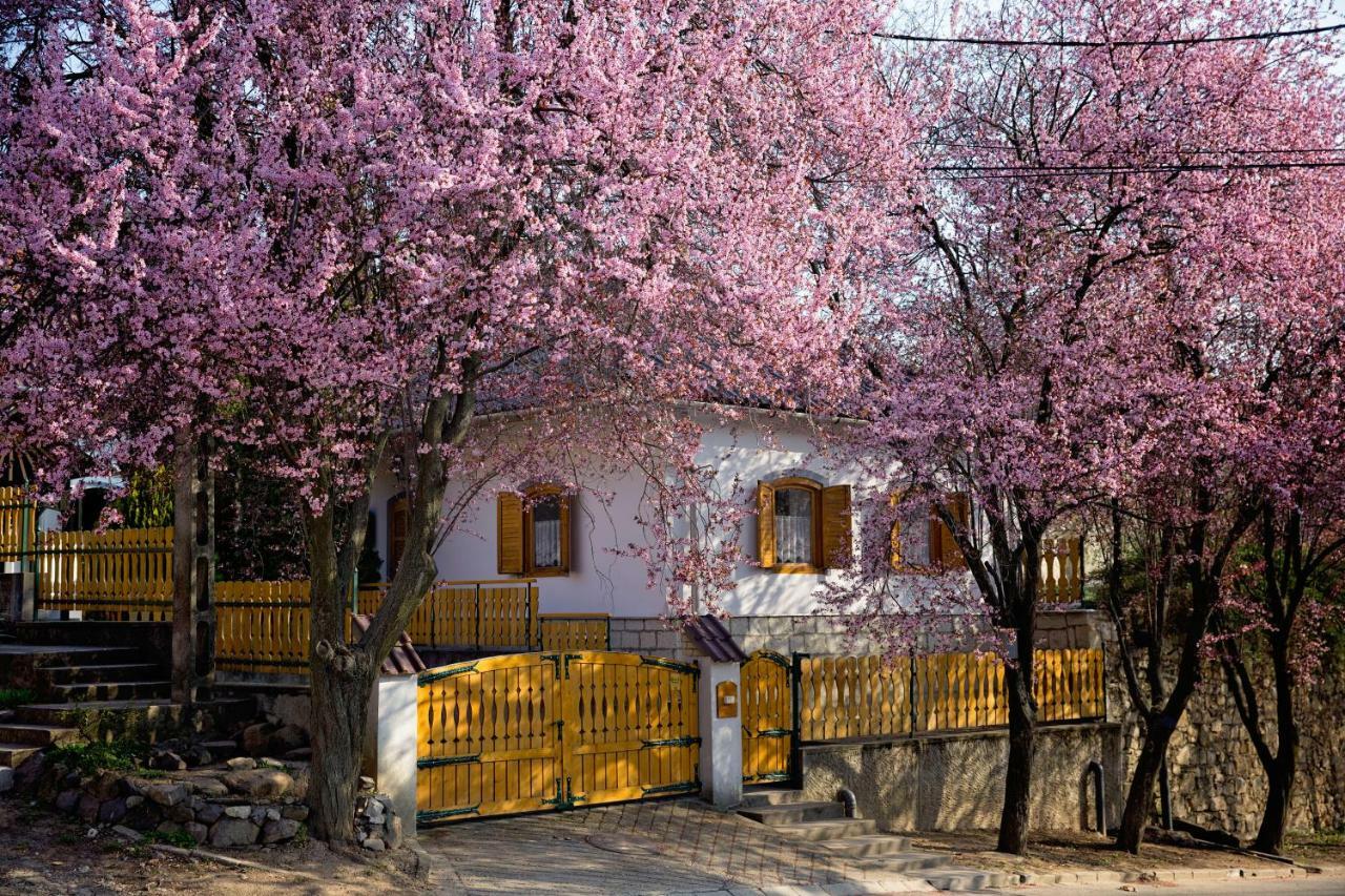Antalóczy Vendégház Tokaj Exterior foto